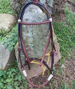 Beautiful handmade bridle with twisted browband and noseband