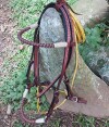 Beautiful handmade bridle with twisted browband and noseband