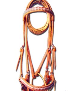 Show or Trail Bridle
