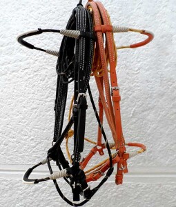 Trail and Schooling Bridles