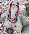 3-0039-bridle-red-thread