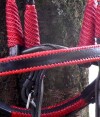 6-0039-bridle-red-thread