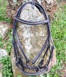 Leather show or trail bridle with contrasting braid.