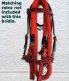 Red show or trail bridle with black trim.