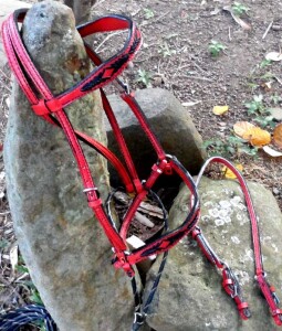 Beautiful custom red and black bridle