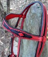 browband custom red and black bridle
