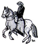 Galope Embroidery Horse