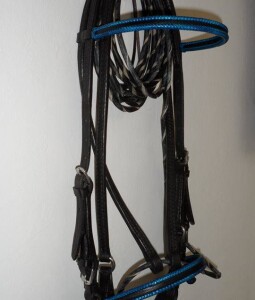 black and blue custom designer bridle