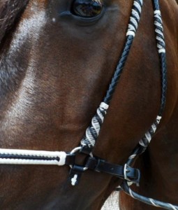Custom Horse Tack