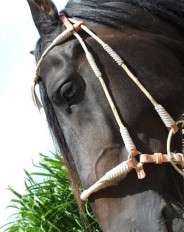 custom tack for all horses