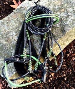 Green and Black Custom Leather Show Bridle