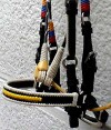 Nose band Leather Paso Fino Show Bridle in the Colombian F lag Colors