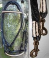 Black bridle and rein, off white trim