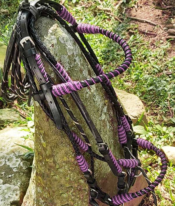 Custom made Designer Color Show or Trial Bridle Black with Pink Leather ...