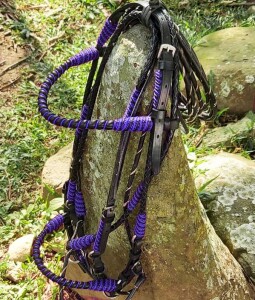 Black and Purple Designer Color Bridle
