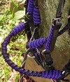 Purple and Black Designer Color Bridle noseband