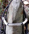 Browband Black and white leather Show Bridle, white trim