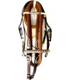 Brown and white leather Show Bridle, black and white white trim matching show reins.